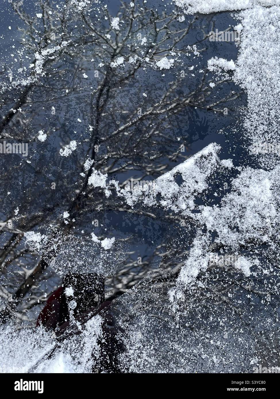 De la neige fraîche et de la glace ont été raclées sur le pare-brise d’un vus après de fortes chutes de neige qui ont eu lieu pendant la nuit dans ce quartier de l’Utah, aux États-Unis. Abstraction fraîche à partir de réflexions dans les particules de verre et de neige. Banque D'Images