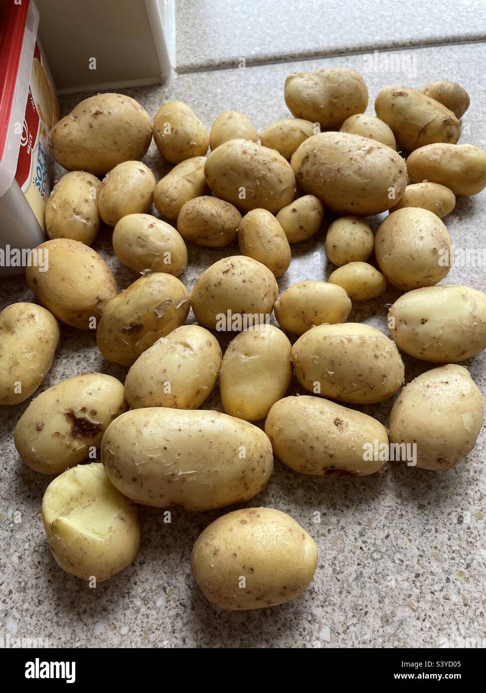 Nouvelles pommes de terre fraîches récemment creusées Banque D'Images