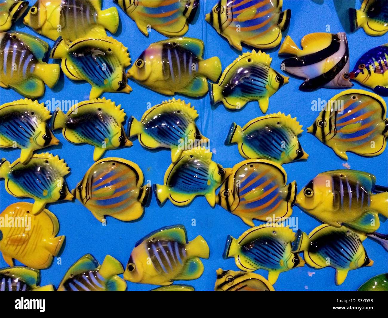 Aimants de poissons tropicaux colorés souvenirs sur fond bleu Banque D'Images