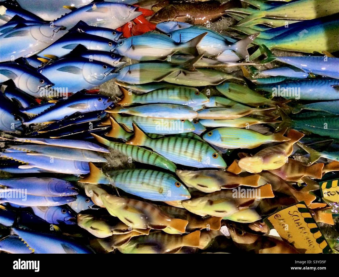 Aimants de poissons tropicaux colorés souvenirs Banque D'Images