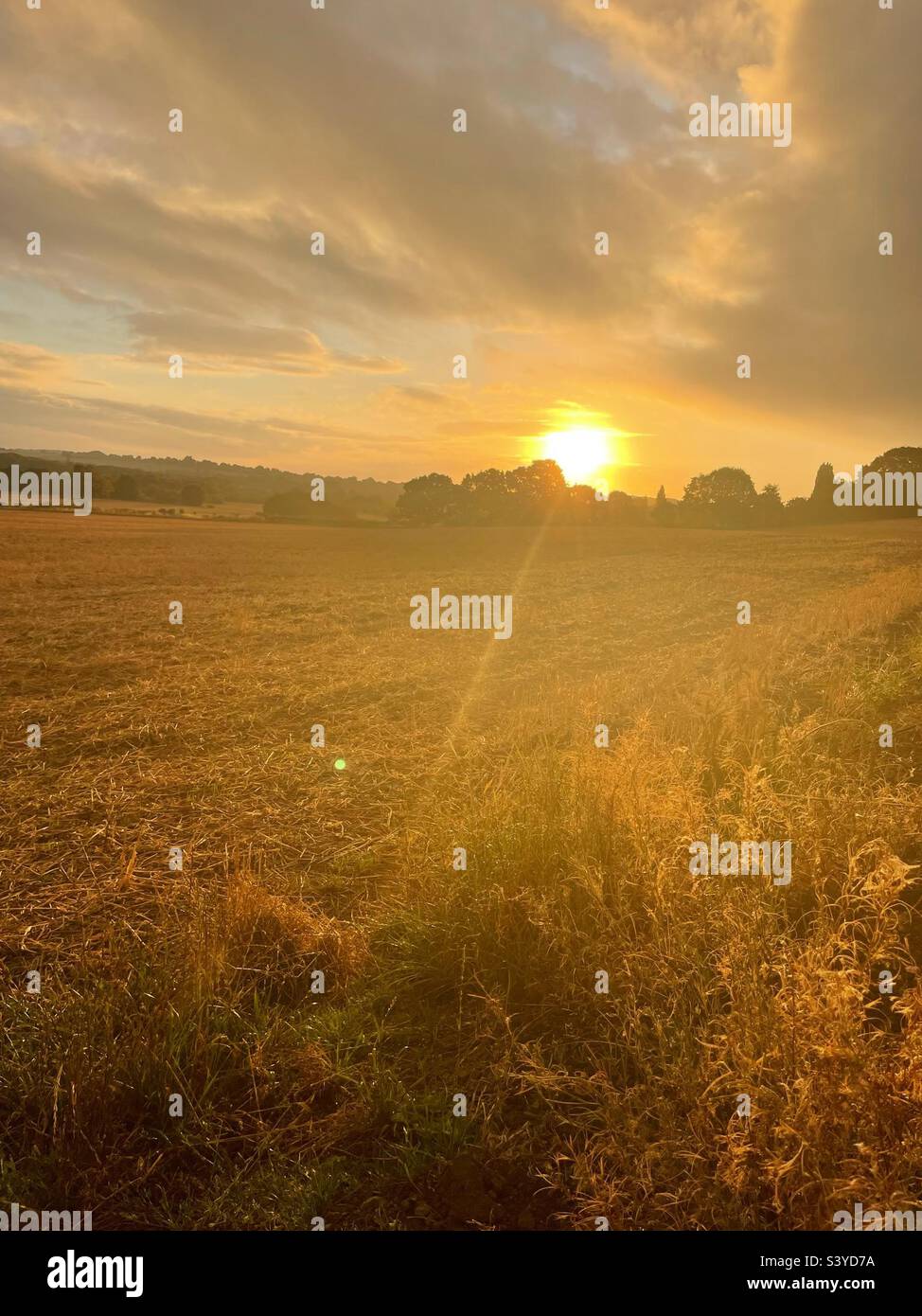 Coucher de soleil sur les champs de Durkar Crigglestone dans Wakefield #Sunset #fields Banque D'Images