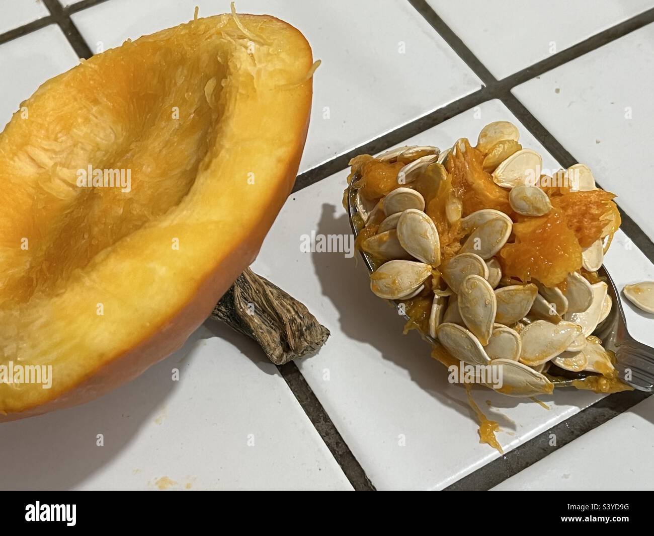 Lors de l'Halloween, ramasser des graines de citrouille Banque D'Images