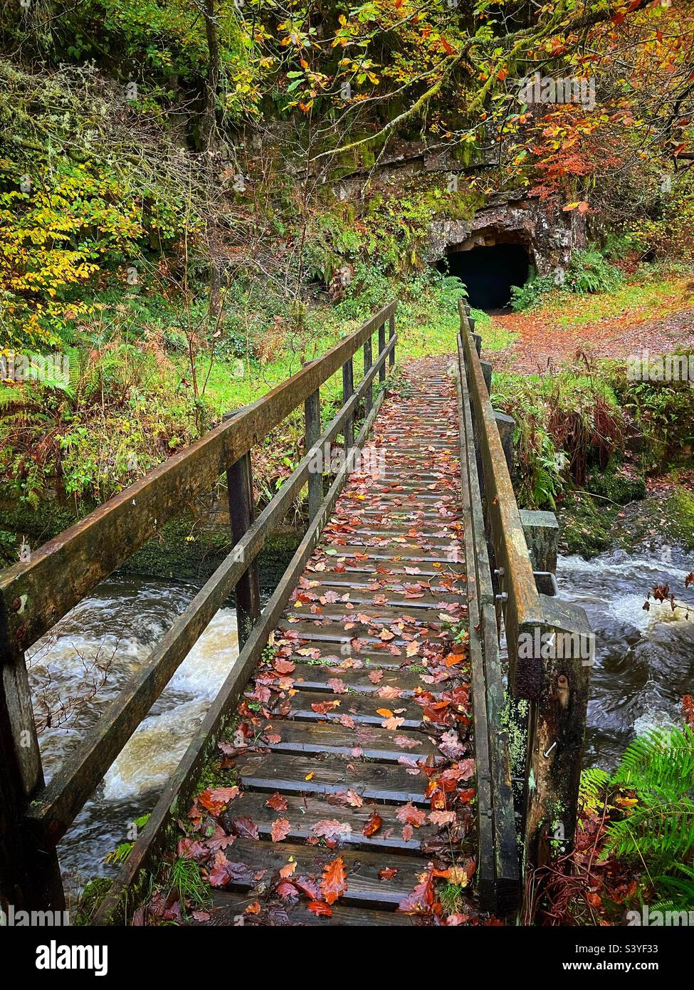 Pont en bois au-dessus de la rivière Sychrhyd avec une ancienne entrée de la mine de silice en arrière-plan, automne. Banque D'Images