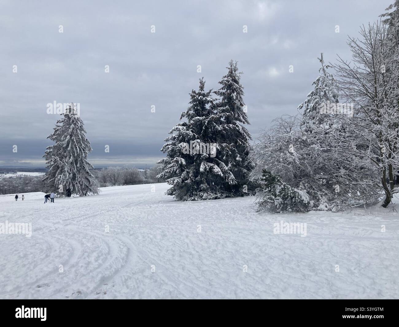 Paysage d'hiver avec des arbres couverts de neige bob-traîneau traces et silhouette de gens traîneau Banque D'Images