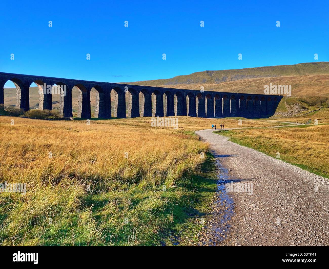 Viaduc de Ribblehead Yorkshire Dales Banque D'Images