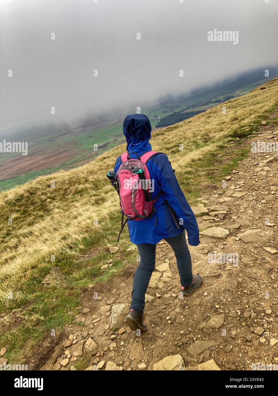 Femme marchant sur Whernside Yorkshire Dales Banque D'Images
