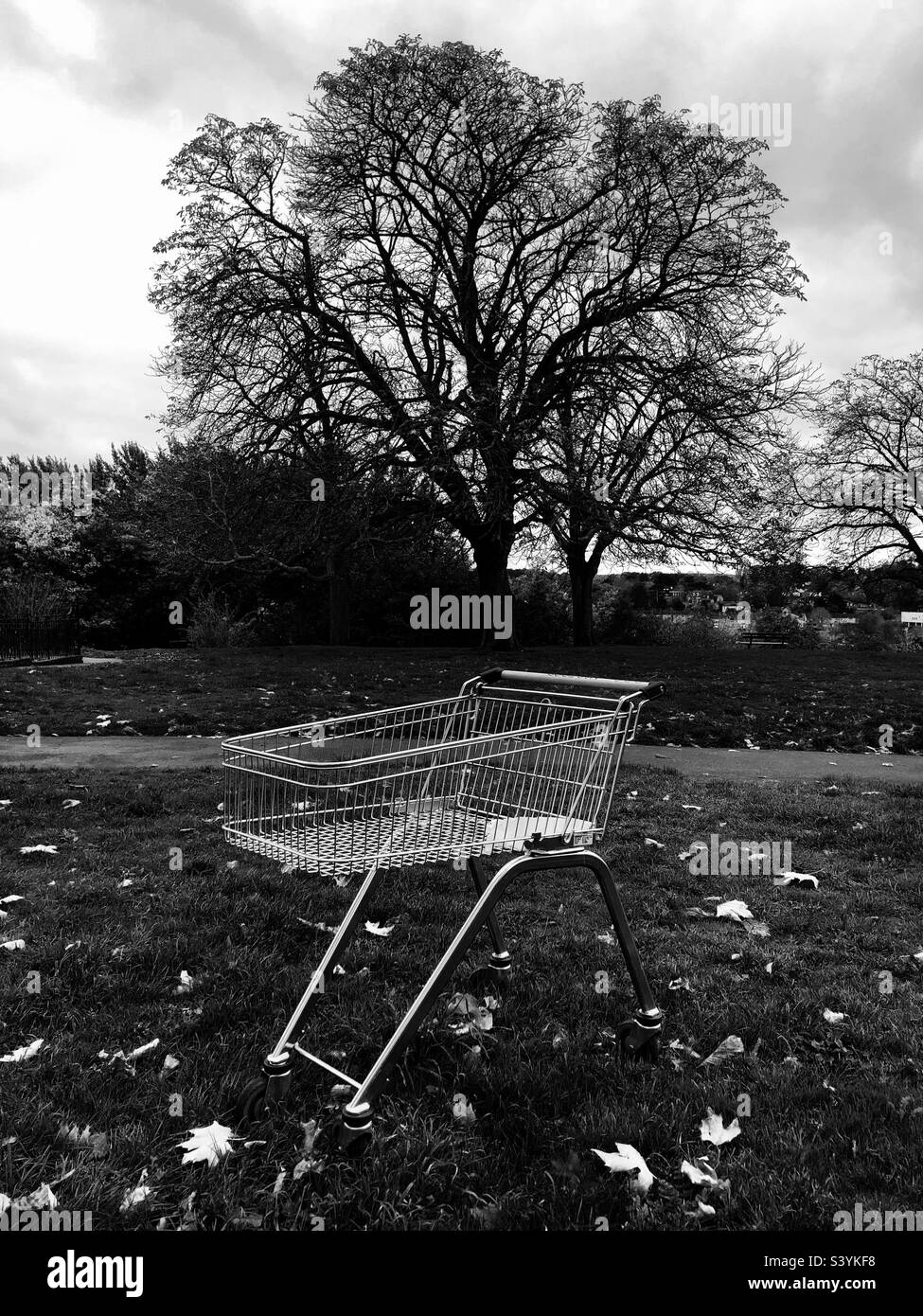 Panier laissé dans un parc Banque D'Images