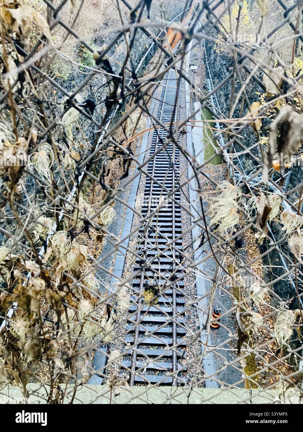 Voies de train léger par le dessus à travers une clôture de chaîne recouverte de vigne. Banque D'Images