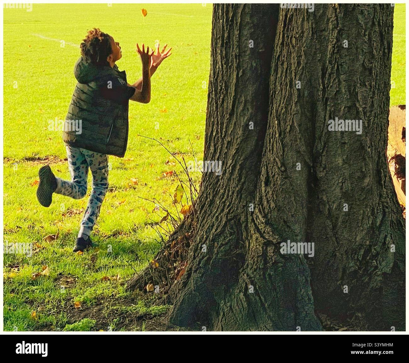 Un garçon attrape une feuille d'automne qui tombe. - Image de stock capturée avec un smartphone