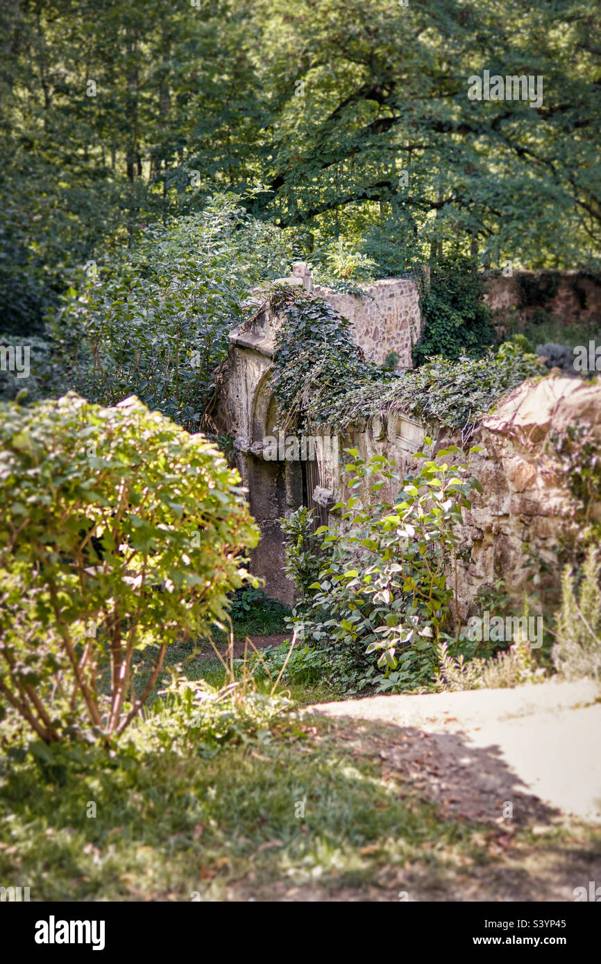 Porte en pierre d'un vieux jardin idyllique envahi de plantes Banque D'Images