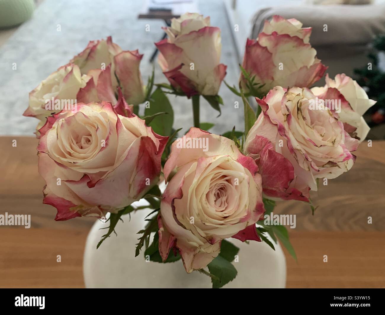 Gros plan d'un bouquet de roses roses roses et blanches dans un vase - Image de stock capturée avec un smartphone