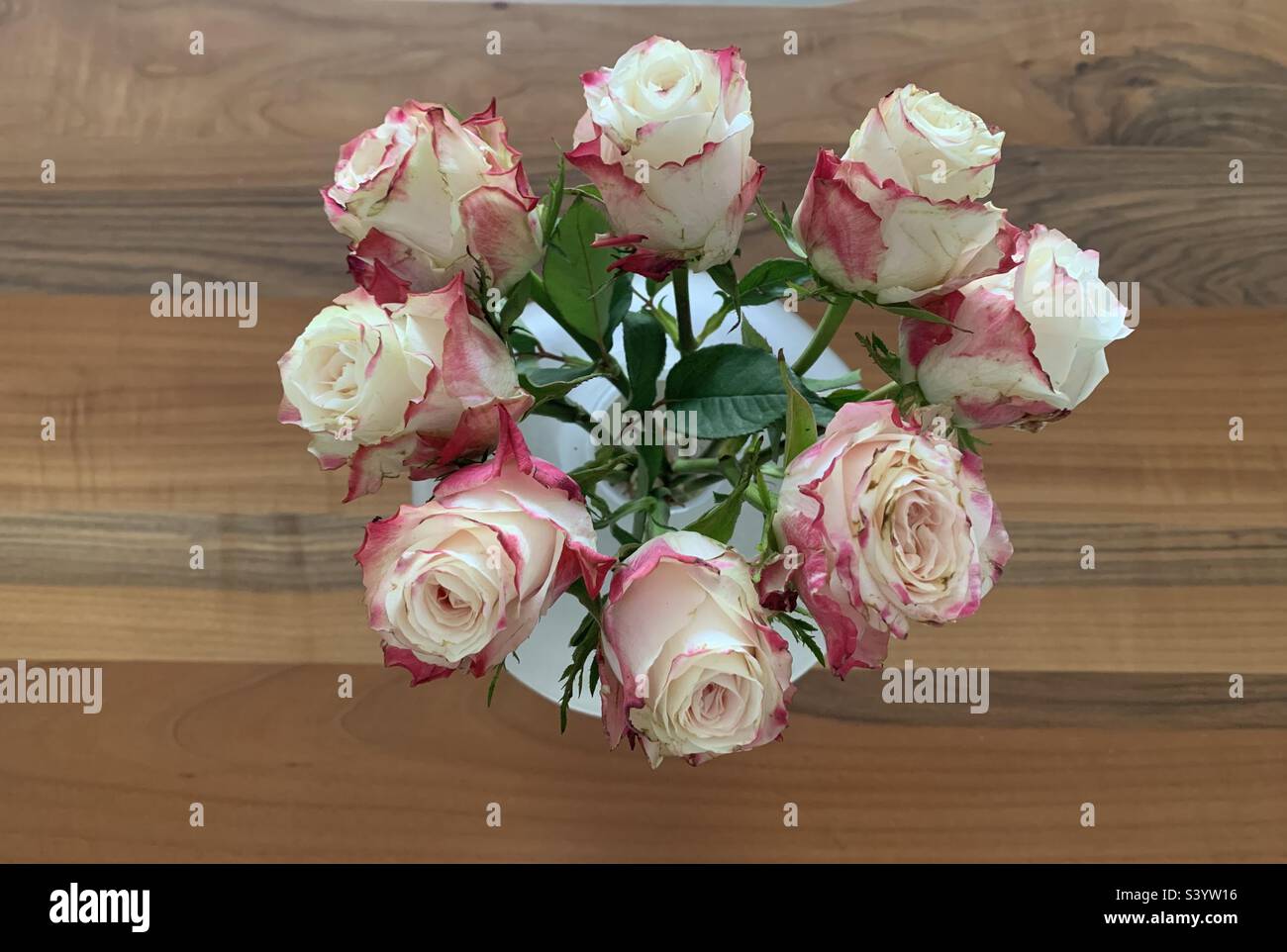 Gros plan d'un bouquet de roses roses roses et blanches dans un vase - Image de stock capturée avec un smartphone