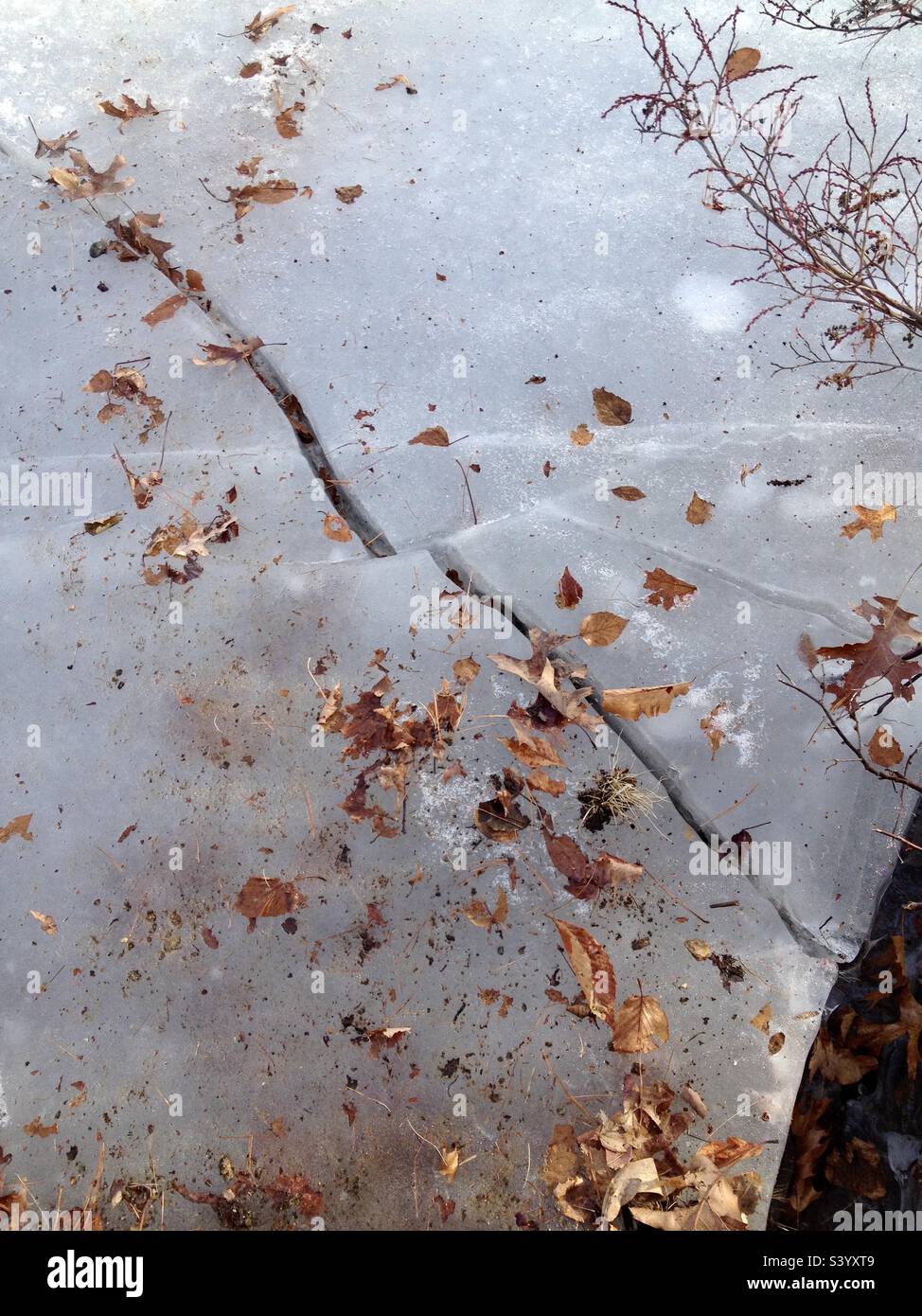 Crack dans une grande dalle de glace avec des feuilles séchées sur le dessus pendant un hiver de la Nouvelle-Angleterre Banque D'Images