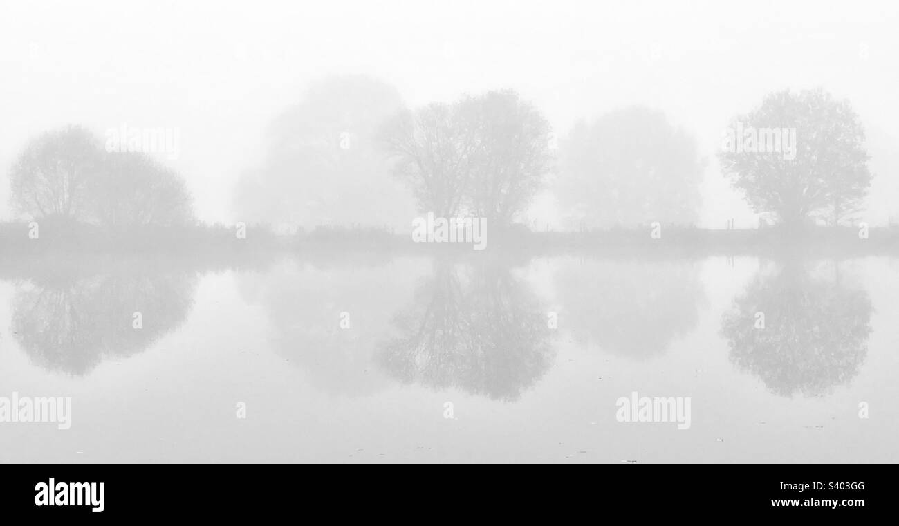 Arbres réfléchis sur le lac dans un brouillard épais Banque D'Images