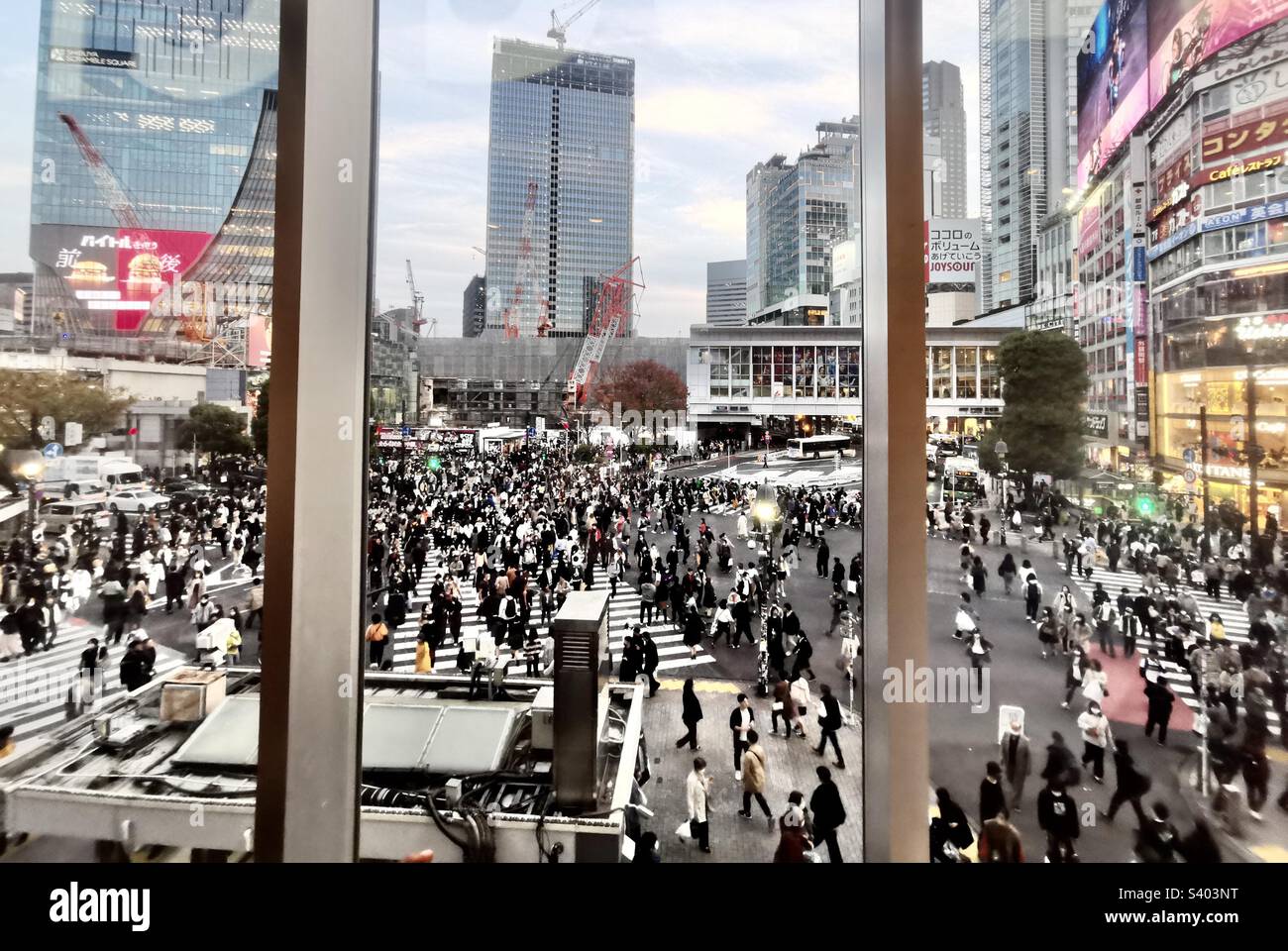L'emblématique Shibuya qui traverse la ville depuis le nord du café Starbucks à Shibuya, Tokyo, Japon. - Image de stock capturée avec un smartphone