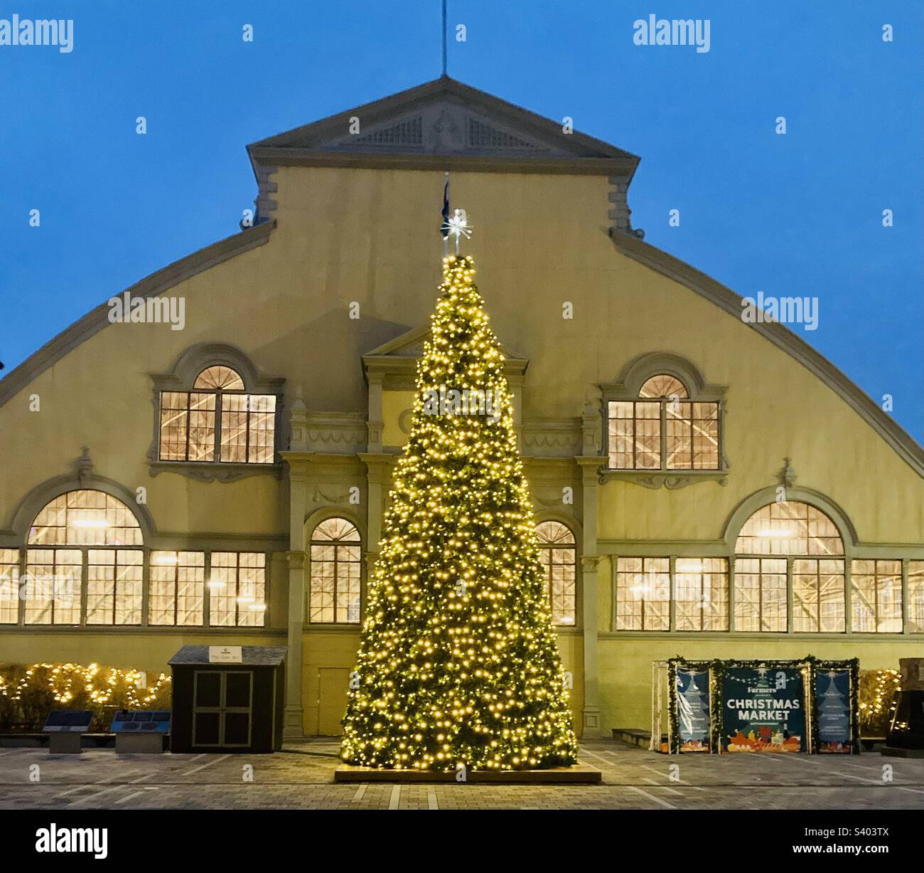 Immense sapin de Noël en face du Pavillon Aberdeen. Banque D'Images