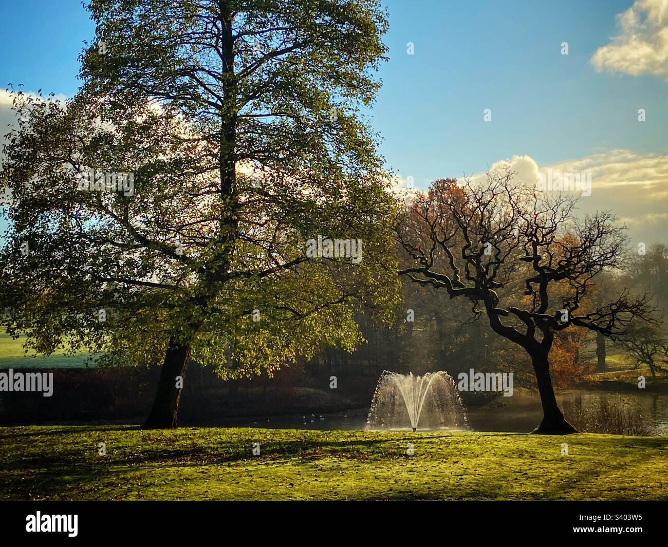 Fontaine décorative dans le lac à Astley Park à Chorley, le matin ensoleillé de la Misty Banque D'Images