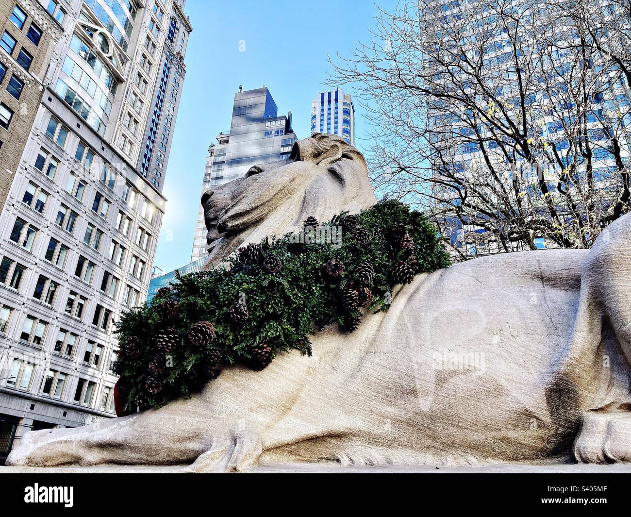 Statue de lion à l'extérieur de la bibliothèque publique de New York, sur la Cinquième Avenue, dans le centre de Manhattan. Lion a une couronne de fête autour du cou. De grands bâtiments apparaissent derrière. - Image de stock capturée avec un smartphone