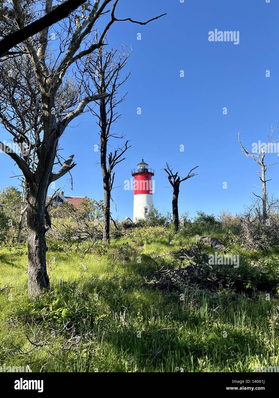 Phare de Cape Cod au bord de la mer Banque D'Images