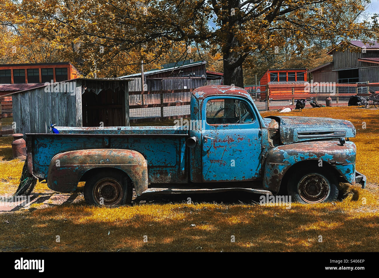 Vieux camion de ferme Banque D'Images