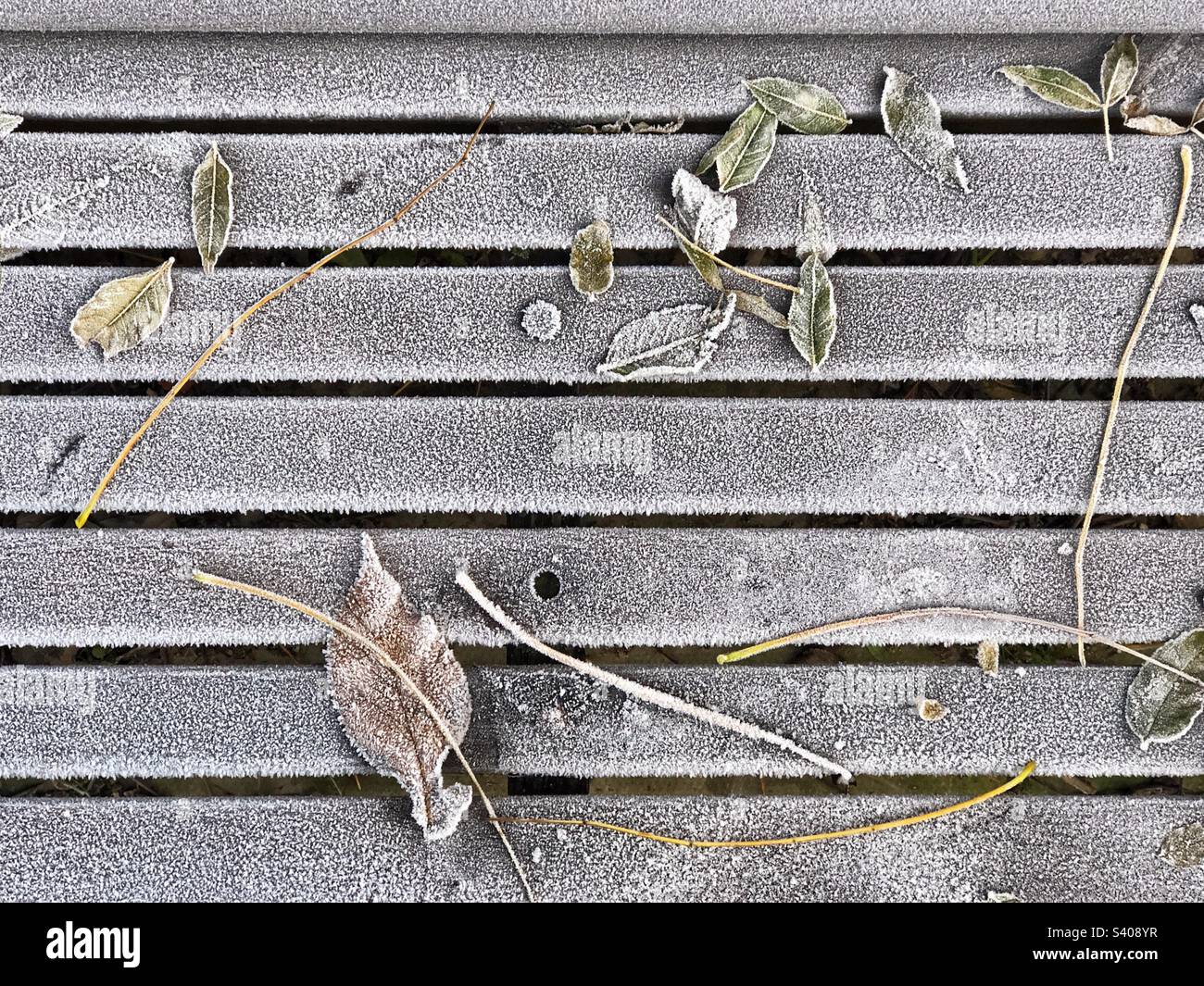 Feuilles incrustées de gel sur un banc de parc Banque D'Images