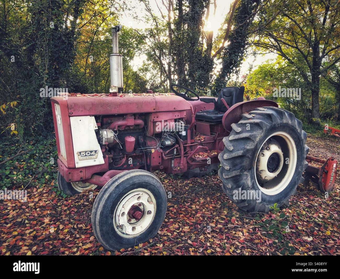 Tracteur rouge vintage dans les feuilles d'automne Banque D'Images