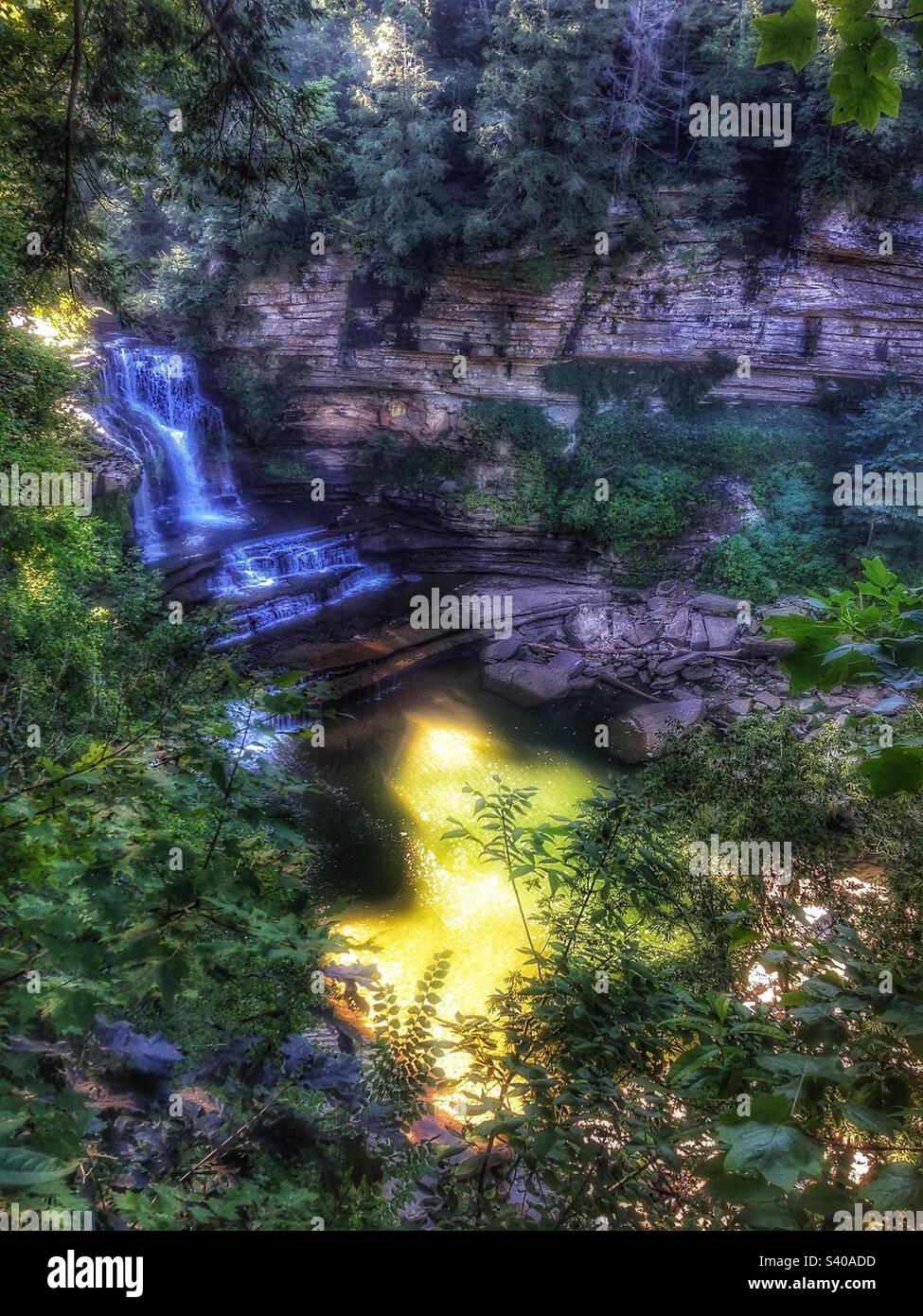 Vue sur les chutes d'eau, voyage en voiture au parc national Cummins Fall, vue panoramique sur la rivière, tranquillité du ruisseau Forest, Banque D'Images