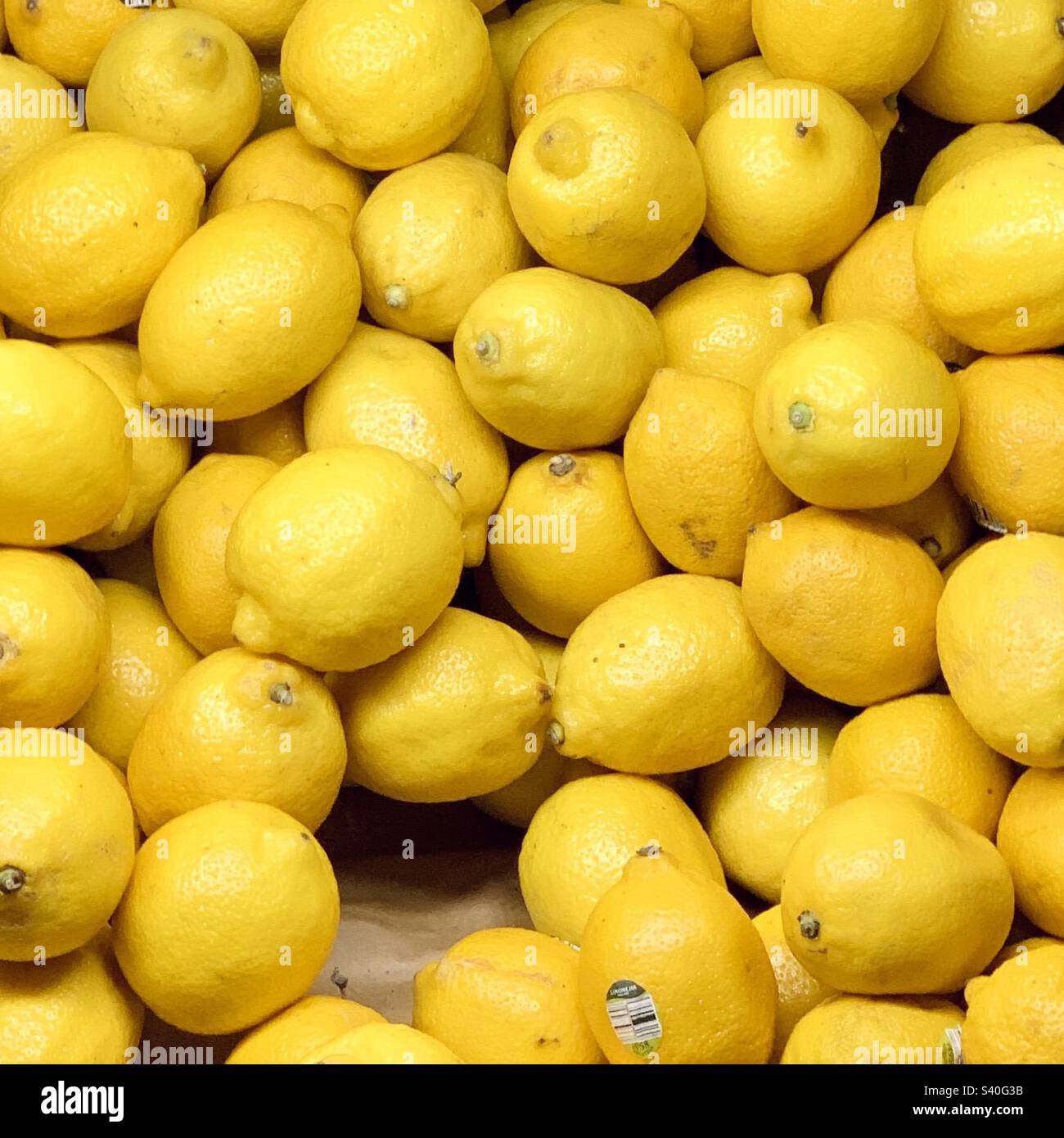 Citrons entièrement encadrés Banque D'Images