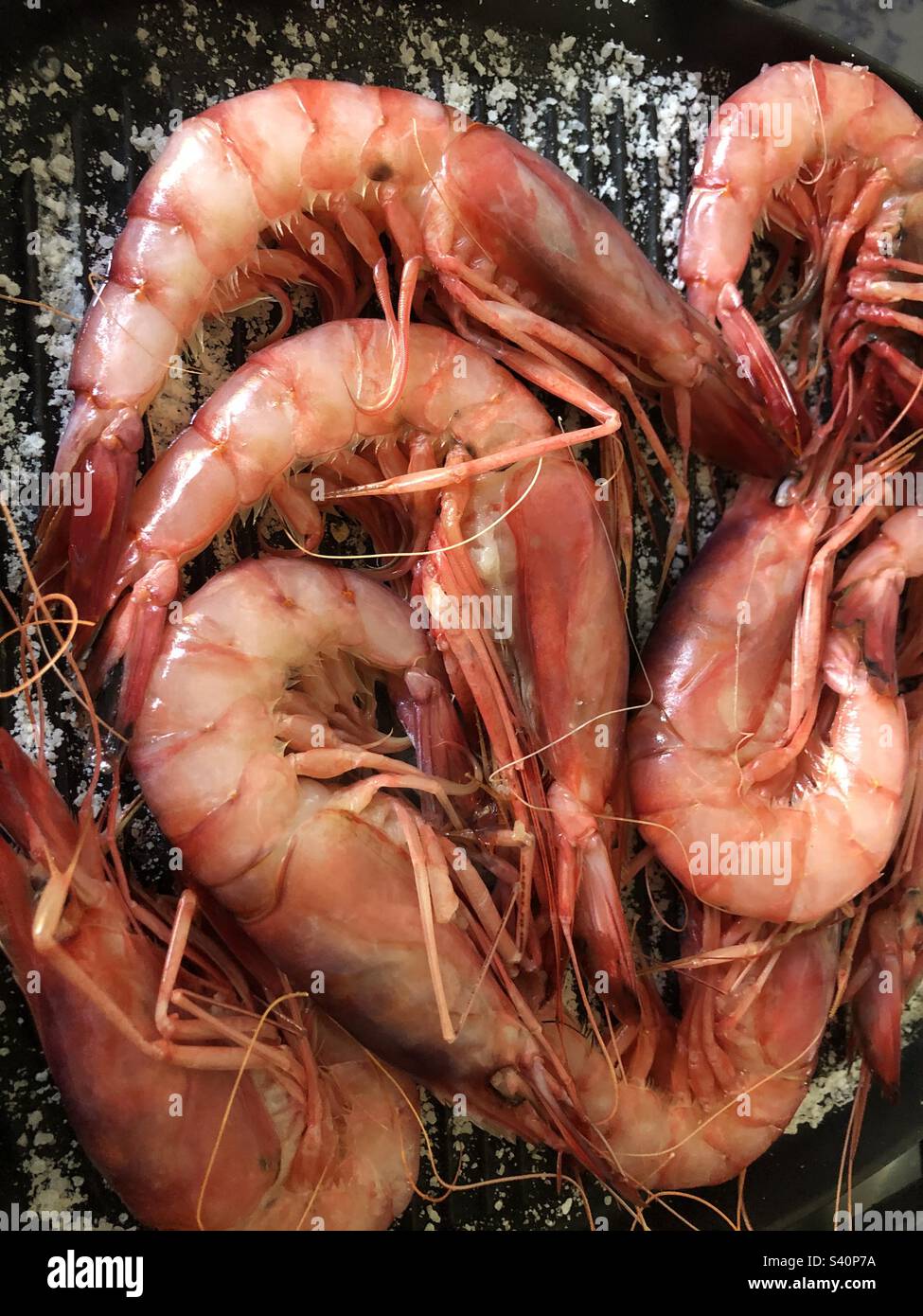 Crevettes géantes cuites sur une casserole de crustacés Banque D'Images