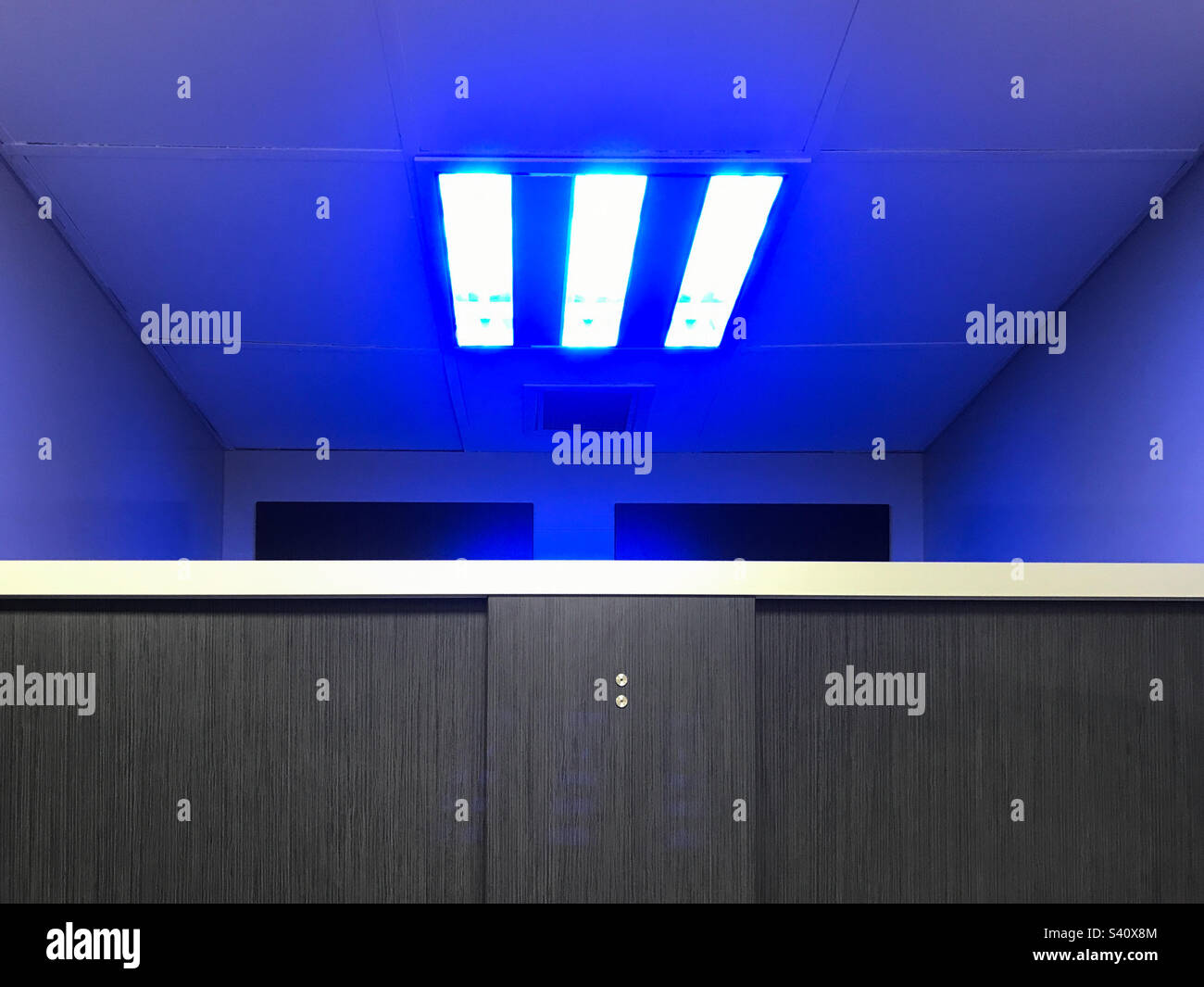 Toilettes publiques avec lumières bleues pour dissuader les consommateurs de drogue car la lumière leur rend plus difficile de voir leurs veines Banque D'Images Toilettes publiques avec lumières bleues pour dissuader les consommateurs de drogue car la lumière leur rend plus difficile de voir leurs veines Banque D'Images