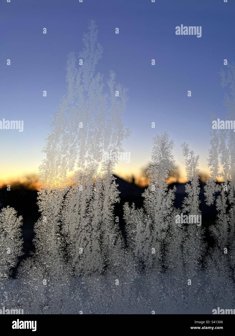 Cristaux de glace sur une fenêtre au lever du soleil Banque D'Images