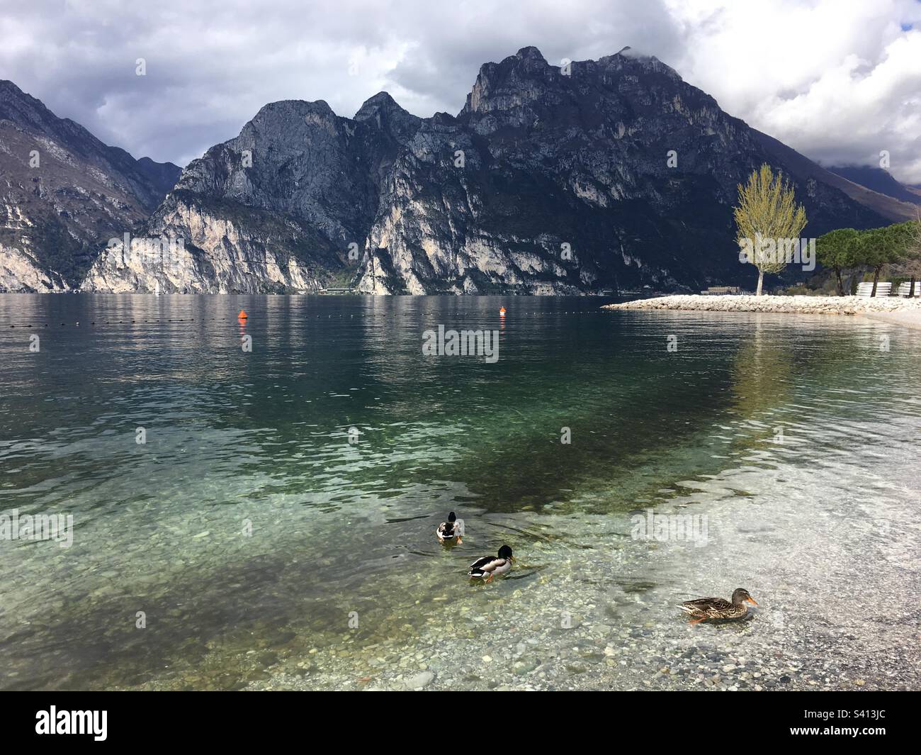 Sur la rive du lac de Garde en Italie avec des canards nageant Banque D'Images