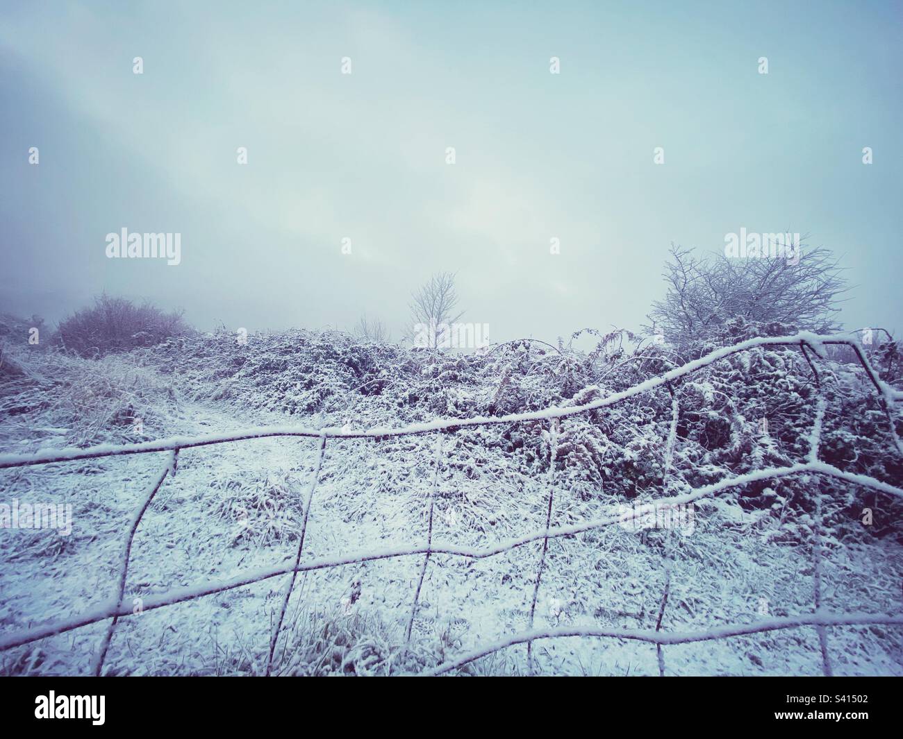 Une photographie de fil de clôture et d'un paysage hivernal enneigé. Hiver, ambiance de marche rurale. Banque D'Images
