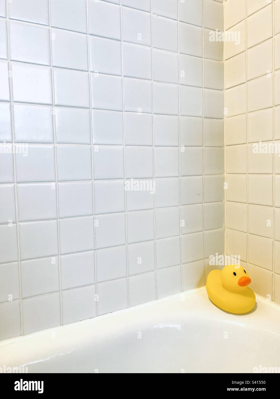 Caoutchouc ducky sur une baignoire blanche dans une salle de bains avec carrelage. Banque D'Images