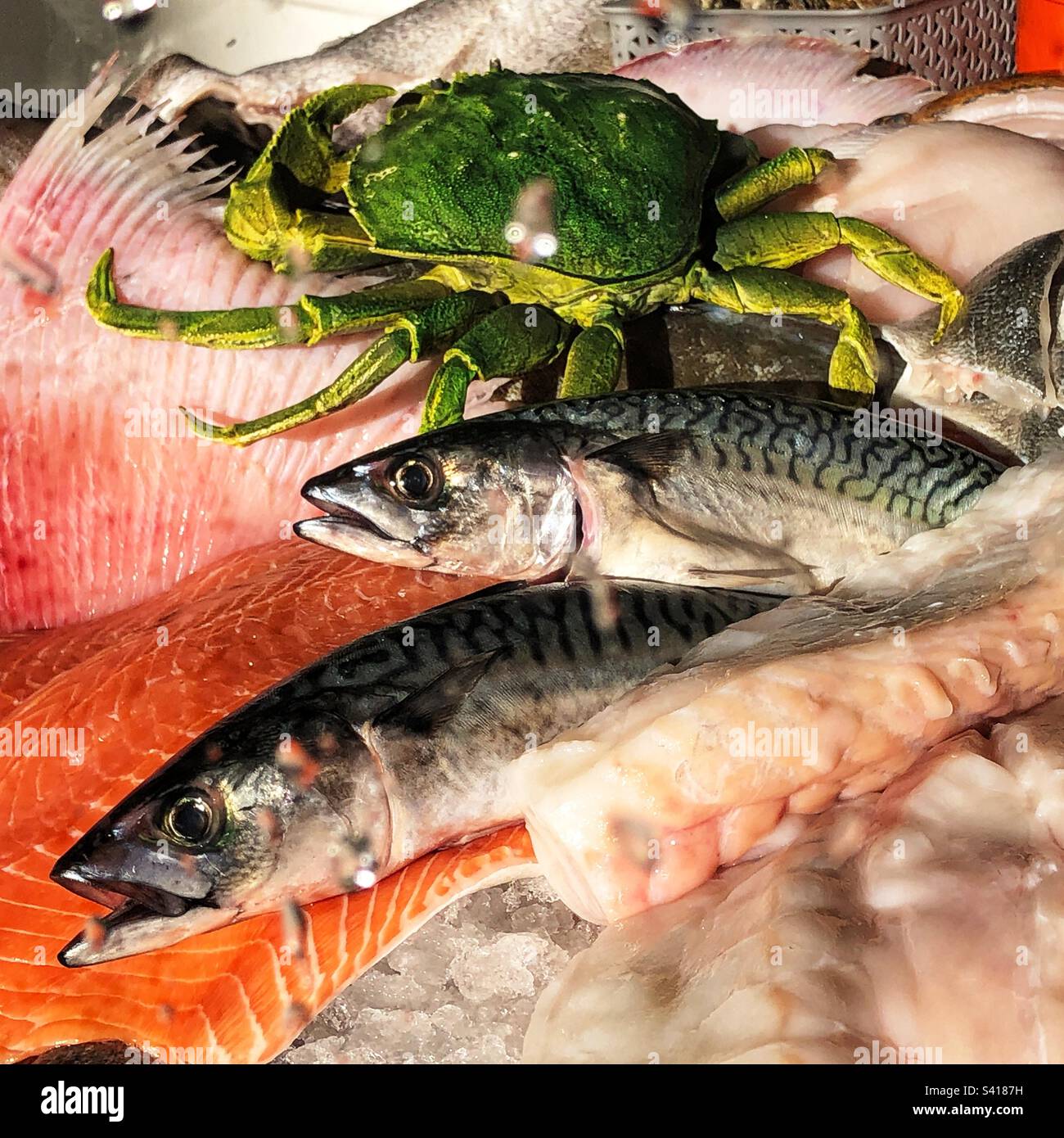 Fenêtre de Fishmongers avec filets de maquereau et de saumon entiers Banque D'Images