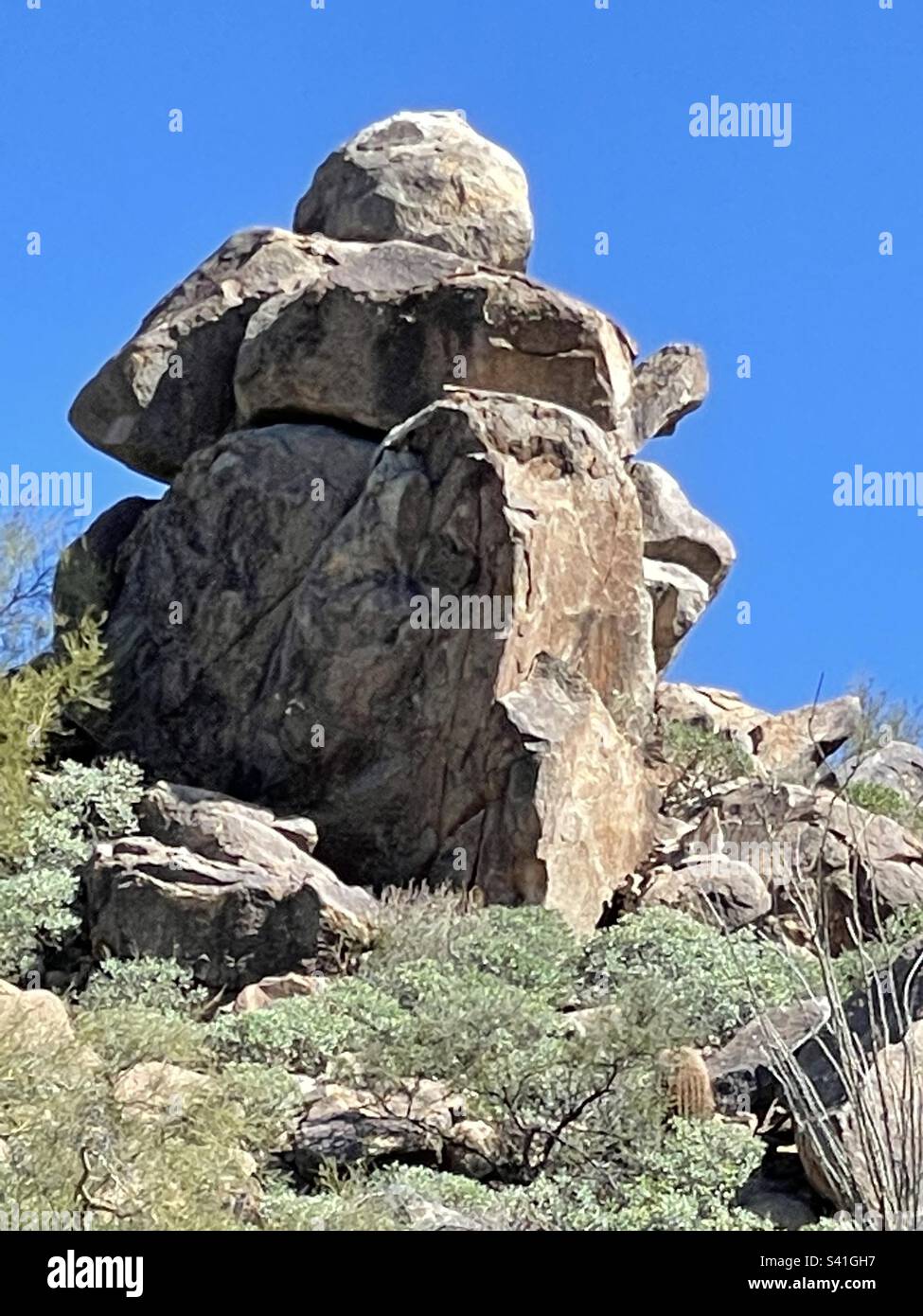 Formation de roche, désert de Sonoran, écureuil d'Anime, femme en colère, imaginer, ocotillo, ciel bleu brillant, sentier Adero Canyon, réserve de montagne McDowell, Fountain Hills, Arizona Banque D'Images