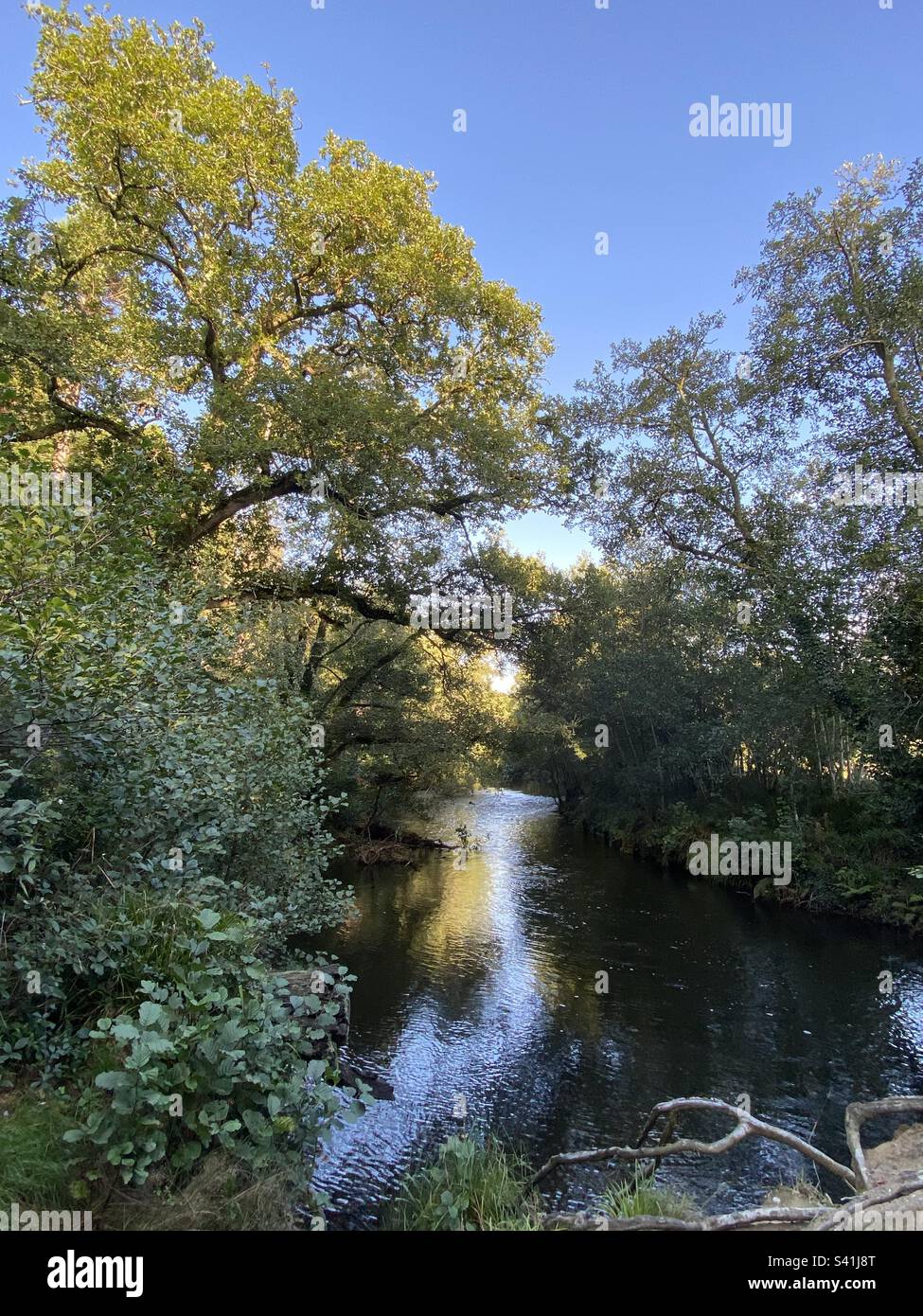 River Fowey Cornwall Angleterre Banque D'Images