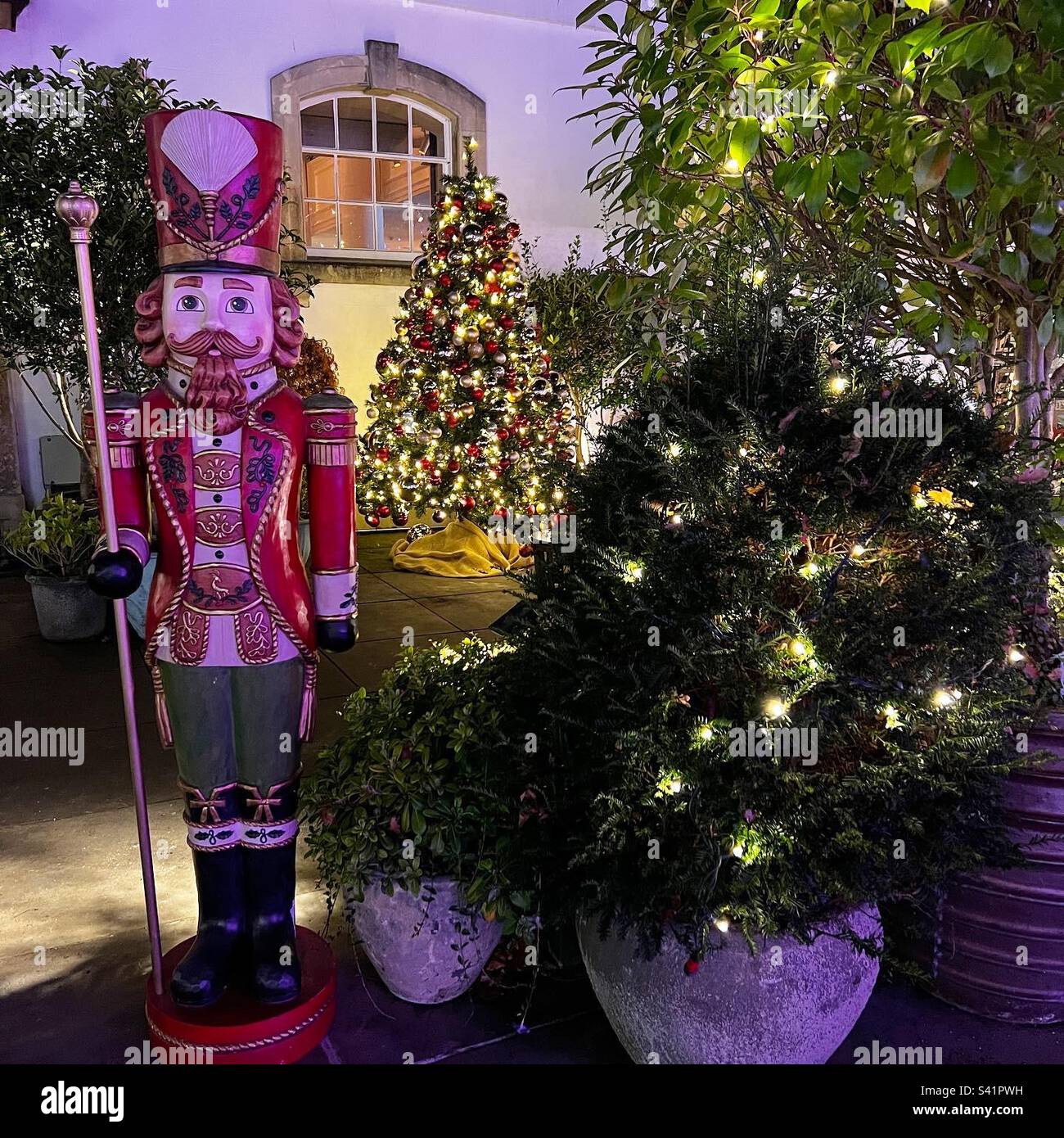 Casse-Noisette - Image de stock capturée avec un smartphone