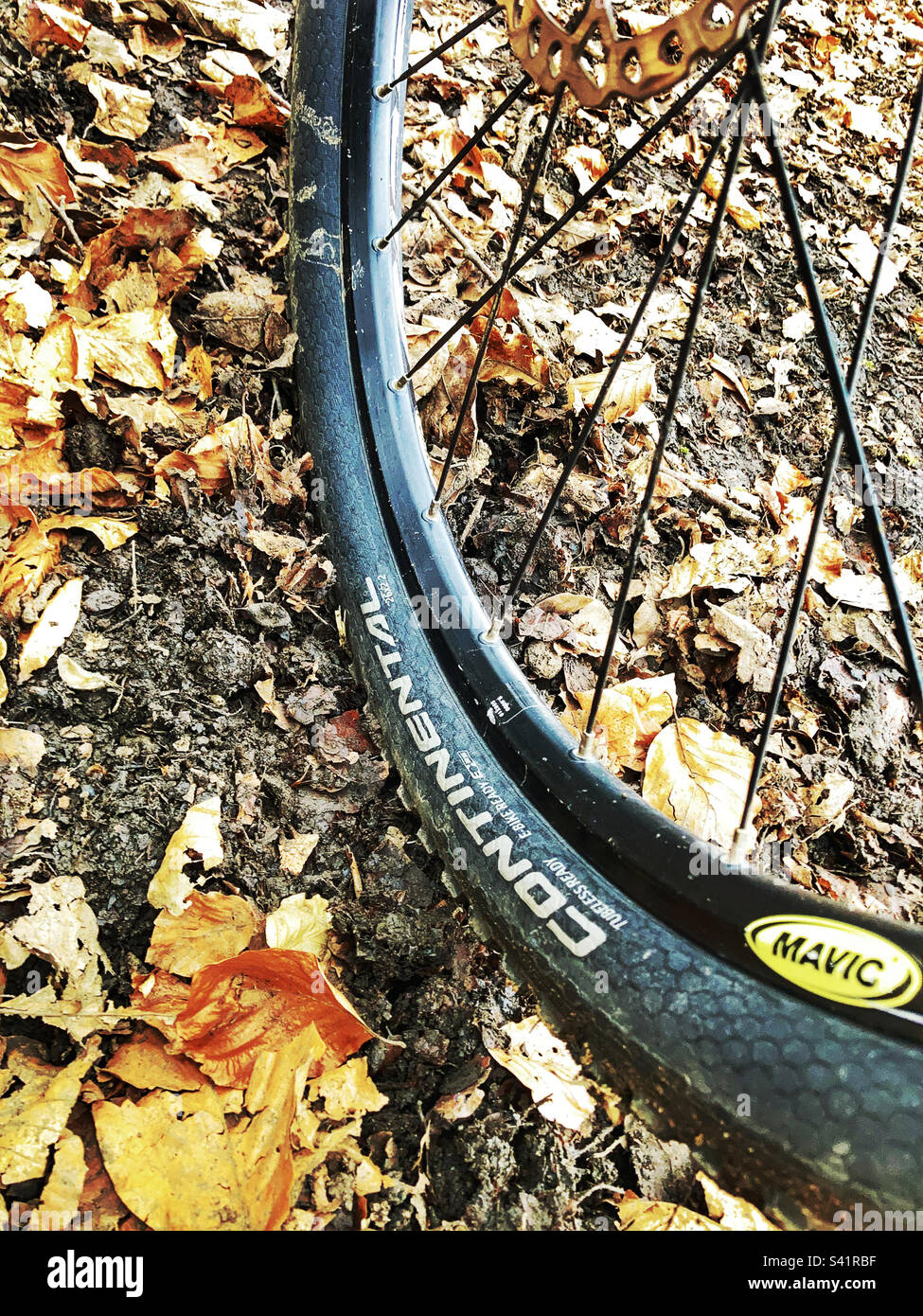 Roue de vélo de montagne sur la boue et les feuilles Banque D'Images