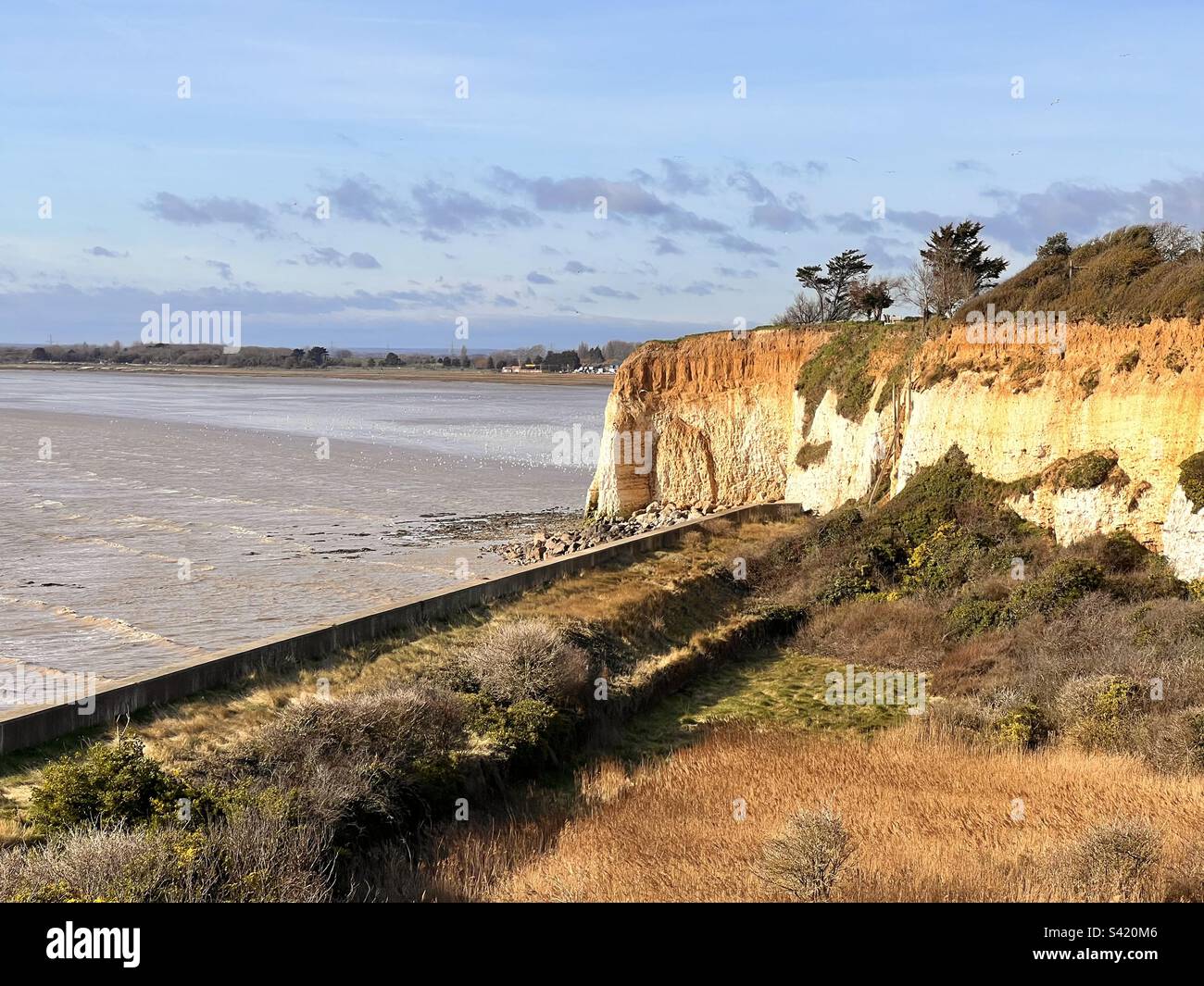 Falaises de la baie de Pegwell et oiseaux sur la mer, à Ramsgate, dans le Kent - Image de stock capturée avec un smartphone