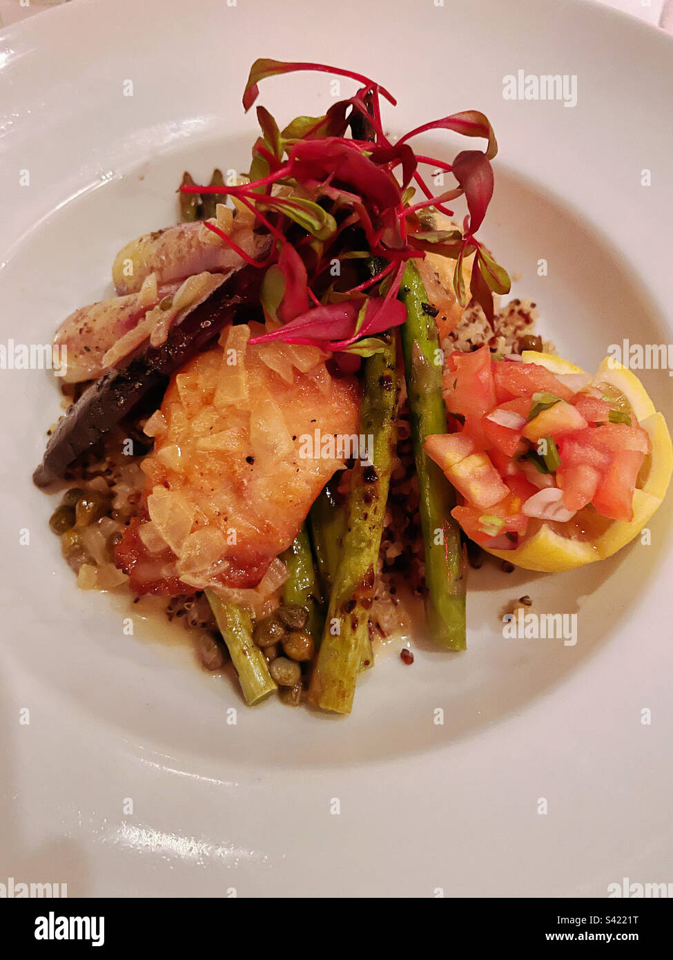 Gros plan d'une présentation gastronomique mahi-mahi dans un restaurant haut de gamme de New York City, 2023, États-Unis - Image de stock capturée avec un smartphone