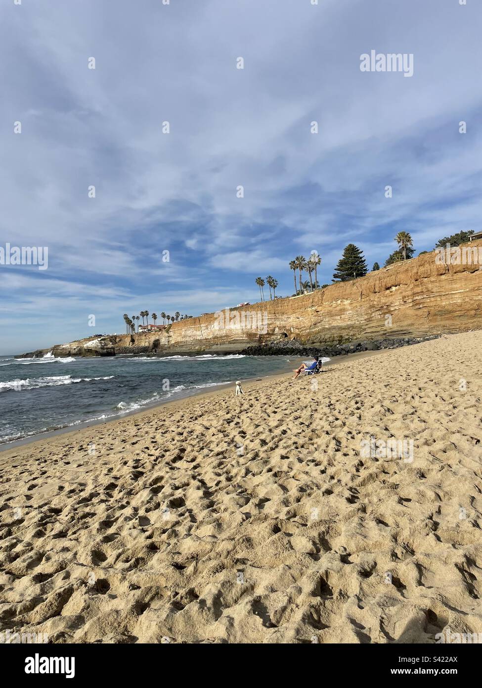 Les plages de la Jolla et un petit chiot Banque D'Images