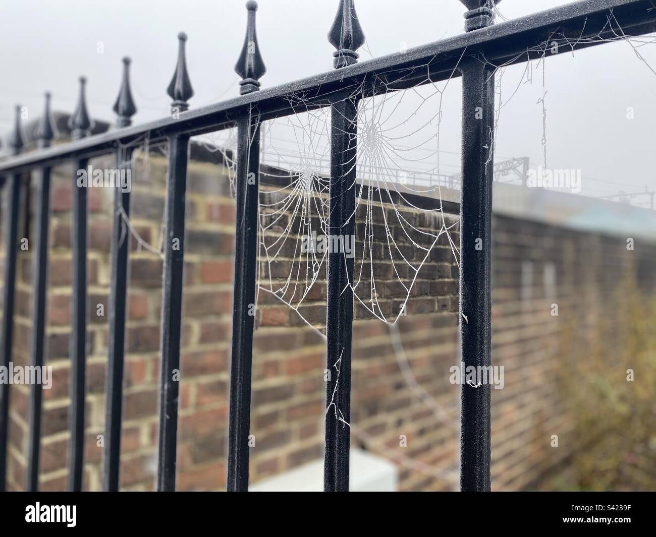 Des toiles d'araignée gelées sur les chemins de fer de Londres Banque D'Images