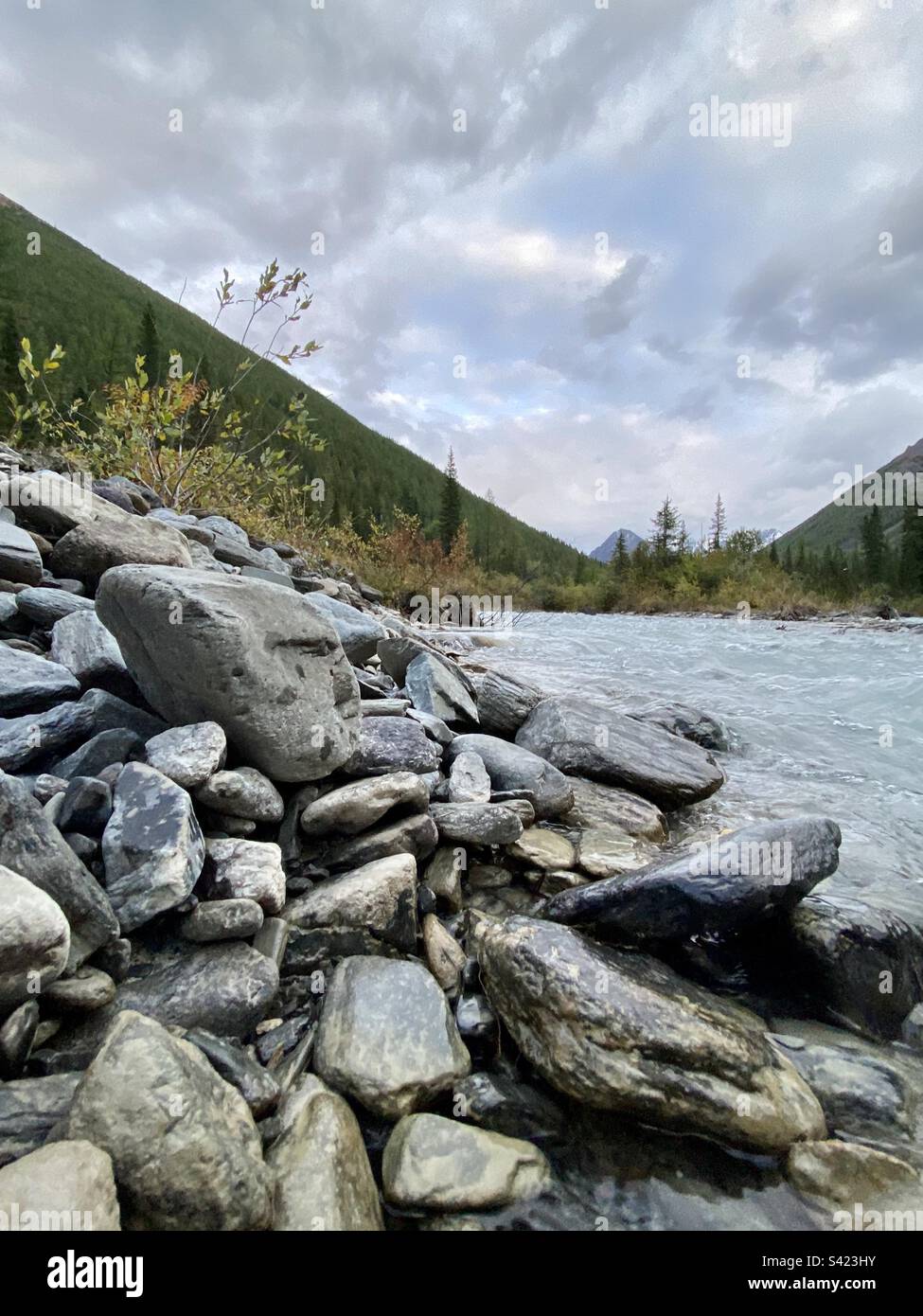 Pierres sur la rive d'une rivière de haute altitude sur le fond de montagnes avec une forêt en Altai en Sibérie. - Image de stock capturée avec un smartphone