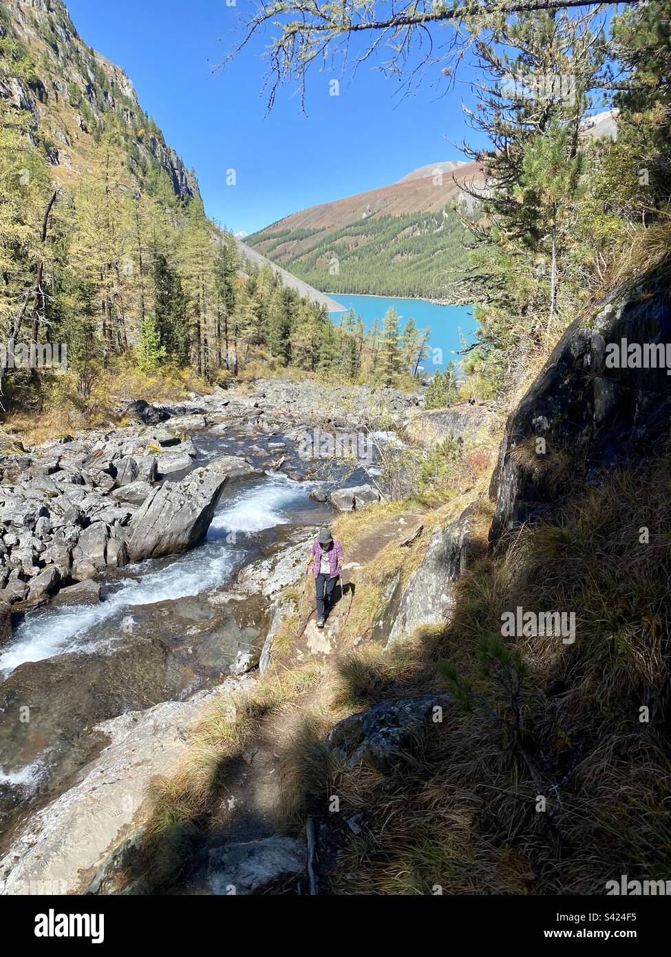 Une jeune fille touristique marche le long d'un sentier sur la rive du lac alpin turquoise Shavlinskoye dans les montagnes de l'Altaï en Sibérie. - Image de stock capturée avec un smartphone