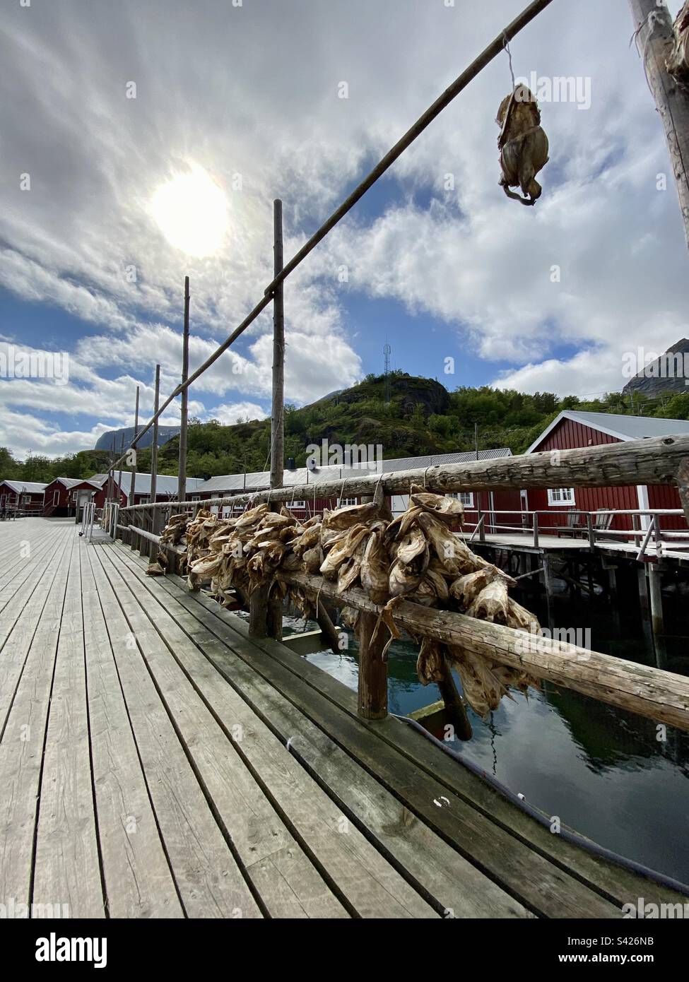 Poisson pendu pour sécher au soleil dans le port. Photo prise à Nusfjord, îles Lofoten. Banque D'Images