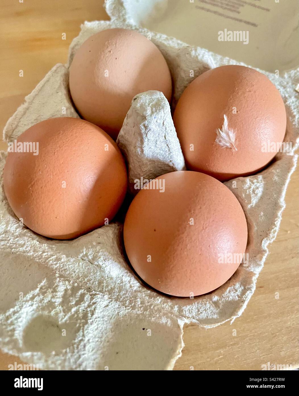 Quatre œufs biologiques dans une boîte à œufs remplie, un œuf avec une plume de poule blanche Banque D'Images