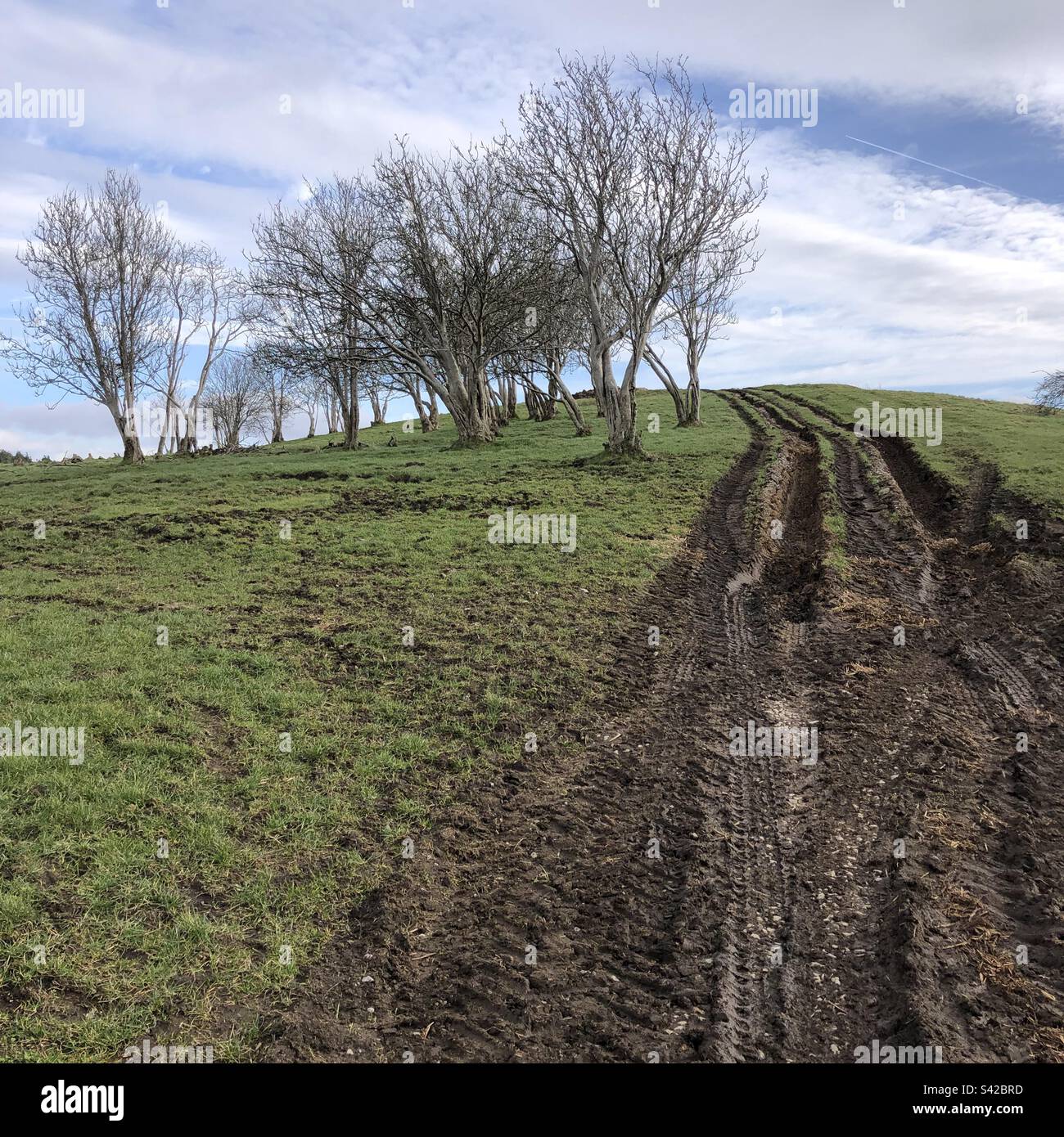 Campagne sombre Banque D'Images