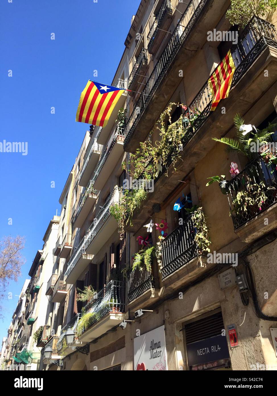 Drapeau indépendant catalan sur un balcon. Carrer del Born. Barcelone Banque D'Images