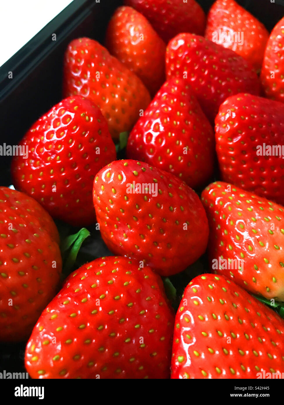 Fraises au sucre. - Image de stock capturée avec un smartphone